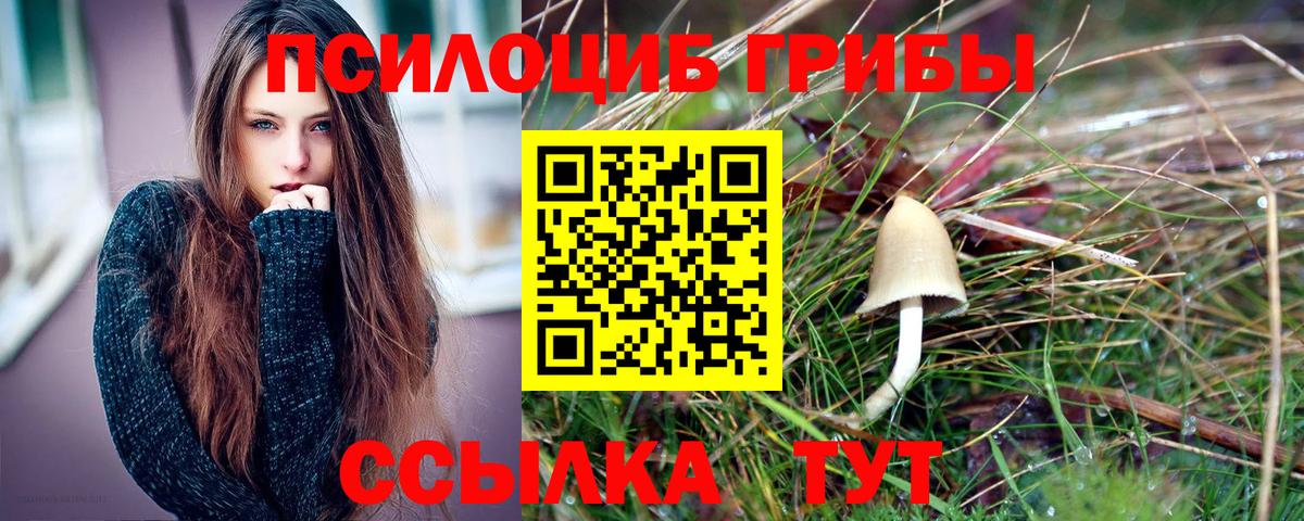 Галлюциногенные грибы прущие грибы Белая Калитва